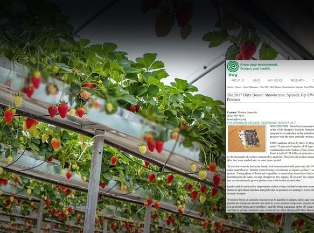 Φυτοφάρμακα στο πιάτο σας