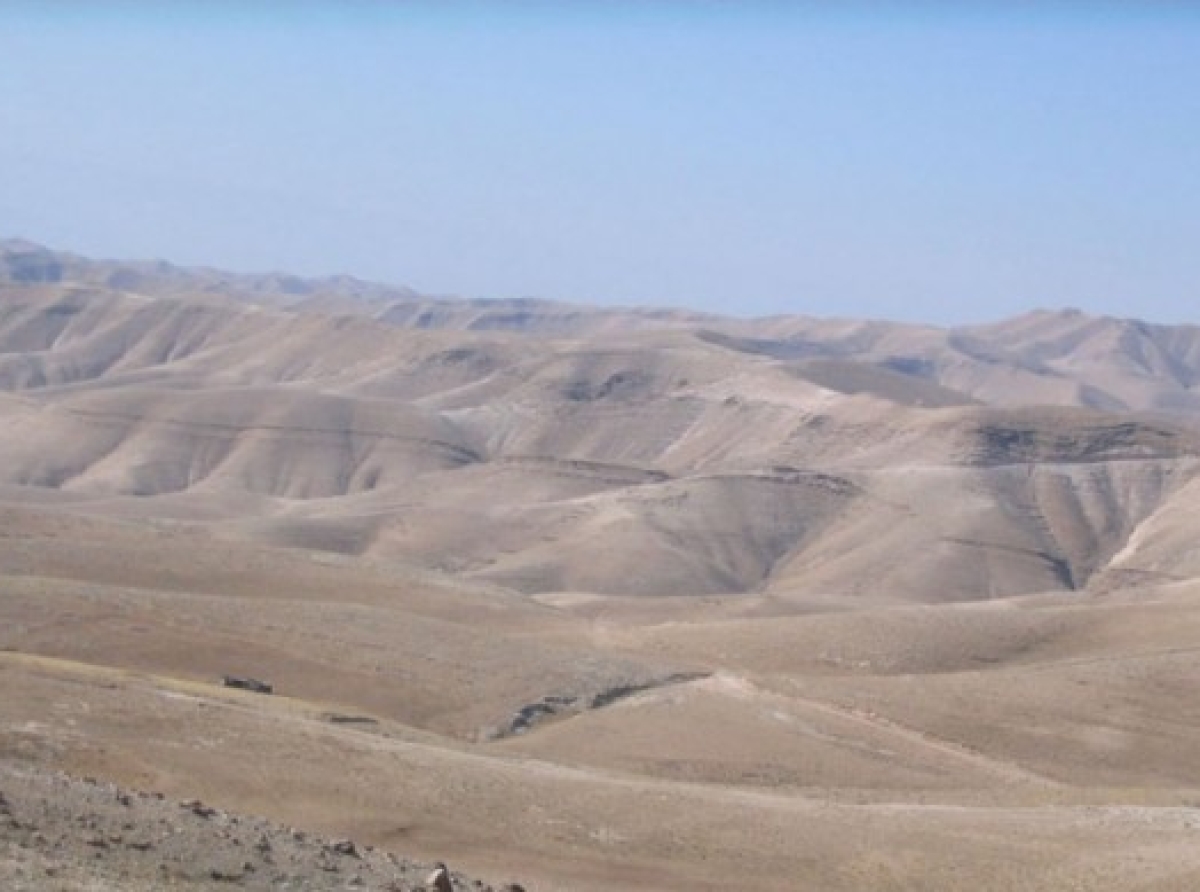 Π.Ιγνάτιος: Ελευθερία αληθινή…