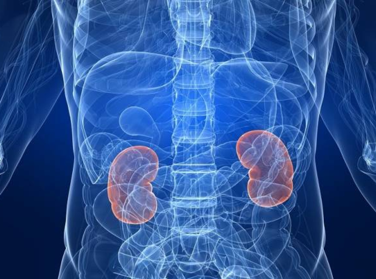 Σημάδια ότι κάτι δεν πάει καλά με τα νεφρά σας