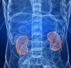 Σημάδια ότι κάτι δεν πάει καλά με τα νεφρά σας