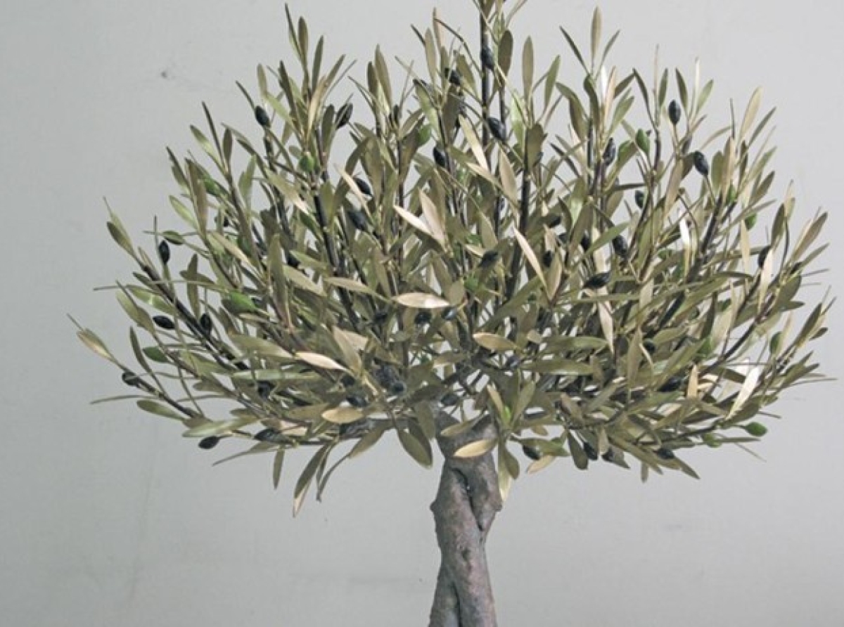 Τι συμβολίζει η ελιά στην Εκκλησία μας