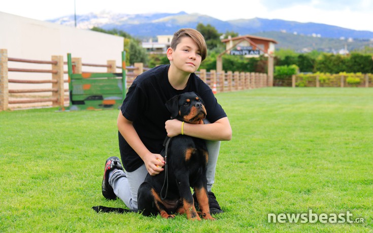 dogs16